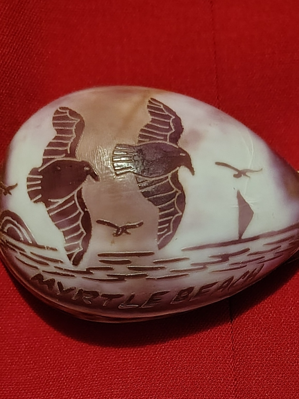 Vintage Hand Carved Cowrie Cowly Shell With Myrtle Beach And Sea Gulls 1980s